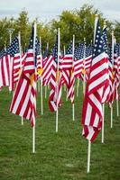 champ de drapeaux américains de la journée des anciens combattants agitant dans la brise. photo