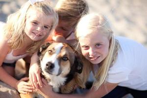 jolies soeurs et frère jouant avec un chien photo