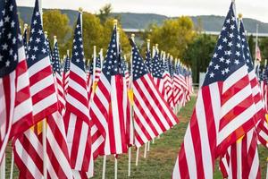 champ de drapeaux américains de la journée des anciens combattants agitant dans la brise. photo