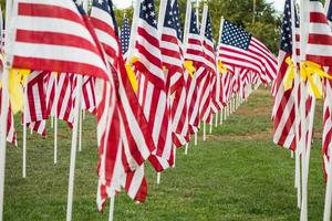 champ de drapeaux américains de la journée des anciens combattants agitant dans la brise. photo