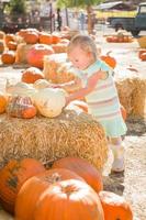 adorable petite fille s'amusant dans un ranch rustique au champ de citrouilles. photo