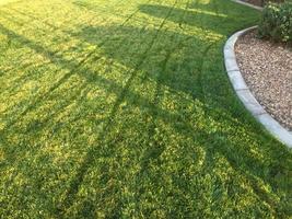 cour d'herbe verte fraîchement coupée un jour de printemps photo
