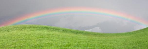 champ d'herbe avec arc-en-ciel dans le ciel. photo