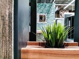 design d'intérieur d'une salle de bains de luxe et de pots décoratifs avec des plantes sur le comptoir. photo