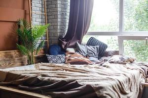 chambre principale moderne avec lits jumeaux et larges baies vitrées. la conception pour donner une vue panoramique sur le jardin extérieur naturel. photo