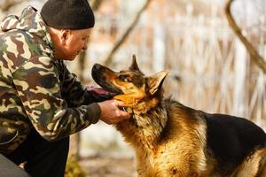 formation de berger allemand noir photo