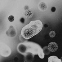 image 4k, virus. vue microscopique des virus. cellules, noir et blanc photo