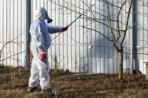 jardinier saupoudrant d'insecticide sur un pommier photo