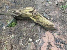 une vue sur la campagne du cheshire près de peckfoton photo