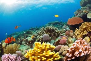 scène sous-marine. récif corallien de l'océan sous l'eau. monde marin sous fond d'eau. photo