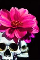 dia de los muertos, festival culturel mexicain traditionnel. jour des morts. photo