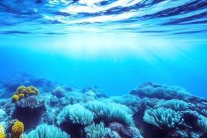 scène sous-marine. récif corallien de l'océan sous l'eau. monde marin sous fond d'eau. photo