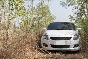 voiture blanche sur un chemin de terre photo