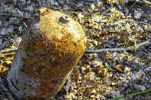 conteneur de gaz rouillé vide dans la forêt en allemagne. photo