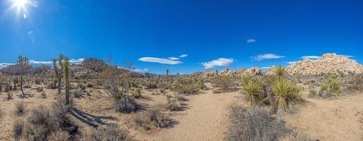 photo du parc national de yoshua tree avec des cactus en californie pendant la journée