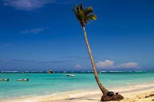 plage tropicale à la mer des caraïbes photo