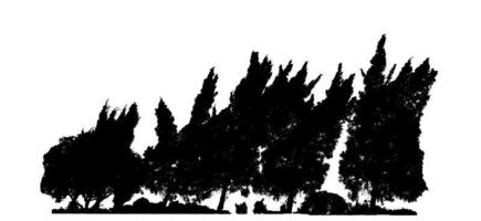 conception de brosse d'arbre silhouette sur fond blanc, brosse d'illustrations de vrai arbre avec chemin de détourage et canal alpha photo