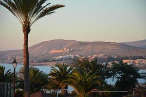 belle vue sur le jardin de l'île tropicale avec palmiers, fleurs sur fuerteventura, îles canaries, espagne, europe. photo