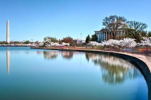 mémorial de jefferson - washington dc photo