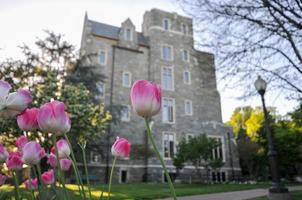 bâtiment de l'université de georgetown à washington dc - états-unis photo