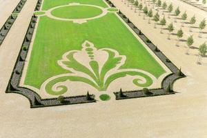 fleur de lis dans le jardin du château de chambord, le plus grand château de la vallée de la loire. un site du patrimoine mondial de l'unesco en france. construit au xvie siècle, il est aujourd'hui propriété de l'état français photo