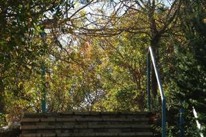 route pour piétons dans un parc de la ville du nord d'israël. photo