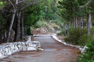 route pour piétons dans un parc de la ville du nord d'israël. photo