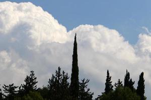 nuages de pluie dans le ciel au-dessus de la forêt. photo