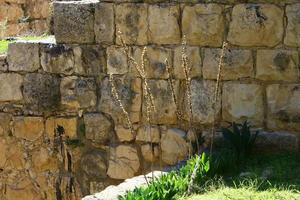 mur d'une ancienne forteresse dans le nord d'israël. photo