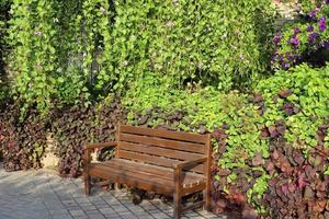 banc de repos dans le parc de la ville au bord de la mer. photo