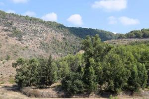 paysage dans les montagnes du nord d'israël. photo