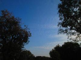 ciel bleu et silhouette d'arbres pendant la journée à karachi pakistan 2022 photo