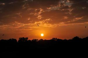 lever du soleil au parc national kruger photo