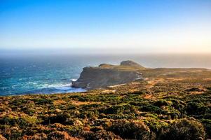 cap de bonne espérance - afrique du sud photo