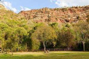 jardin botanique national walter sisulu photo