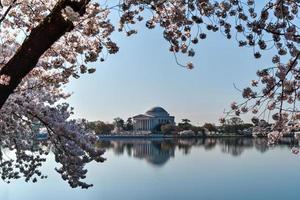 mémorial de jefferson - washington dc photo