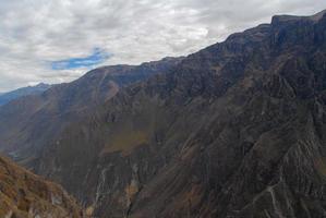 canyon de colca, pérou photo