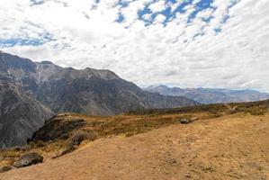 canyon de colca, pérou photo