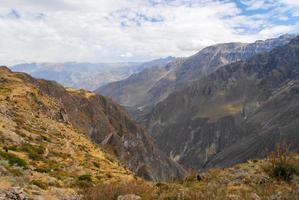 canyon de colca, pérou photo