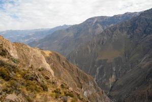 canyon de colca, pérou photo