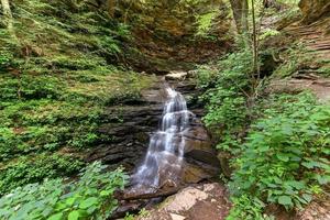 cascade dans le parc d'état de ricketts glen, pennsylvanie. photo