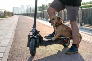 les pieds rapprochés d'un homme en baskets ont fait arrêter de se tenir une jambe avec son chien sur un scooter électrique dans les rues ou le parc. mise au point sélective sur les pieds. photo