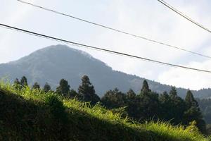vue sélective de l'herbe avec des rayons de soleil brille et arrière-plan de vue sur la chaîne de montagnes naturelle avec forêt de pins sur la montagne sous le soleil de jour photo