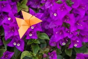 origami papillon avec fleur photo