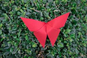 origami papillon avec la nature photo