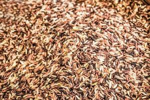 fond et texture de riz brun thaïlandais. photo