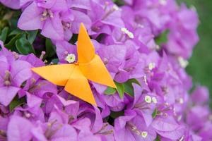 origami papillon avec fleur photo