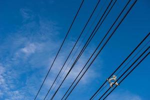 les fils électriques photo