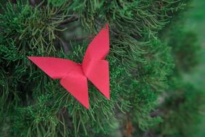 origami papillon avec la nature photo