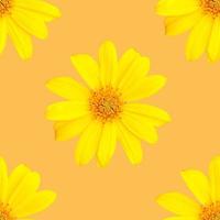 motif de fleurs jaunes pour l'été photo